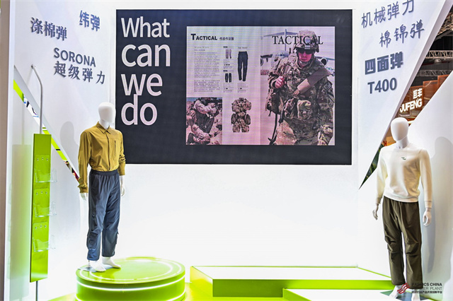 猫先生菠菜|mrcat体育|猫先生官网