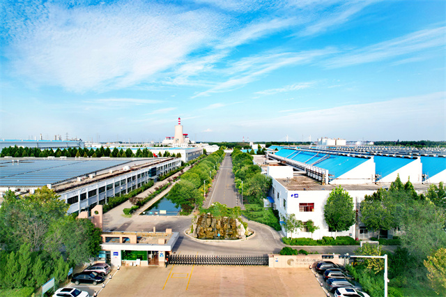 è��������|mrcat����|è��������