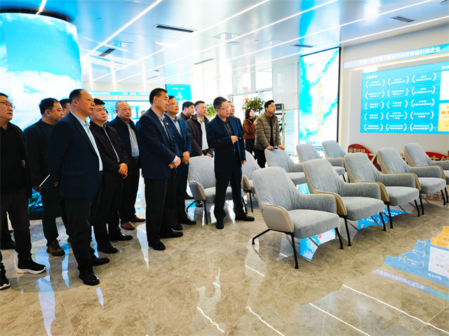 猫先生菠菜|mrcat体育|猫先生官网