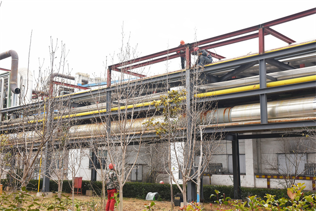 è��������|mrcat����|è��������