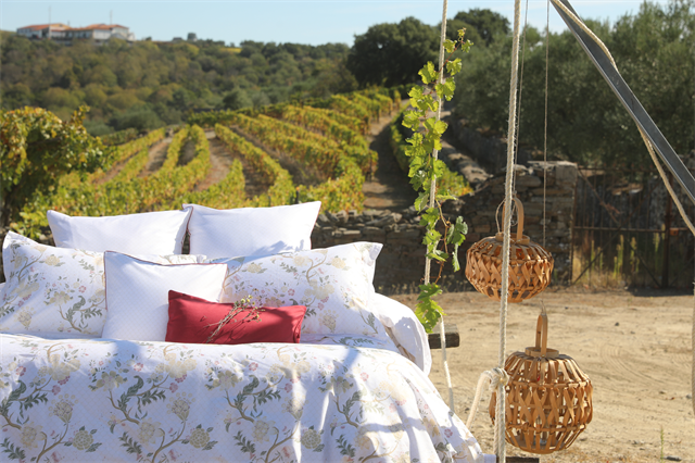 è��������|mrcat����|è��������