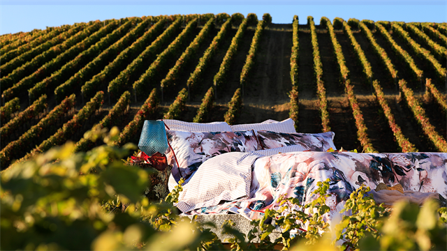 è��������|mrcat����|è��������