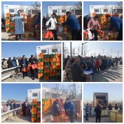 ����è������������������ϲӭ�´� | ��˾����2026�괺�ڸ���