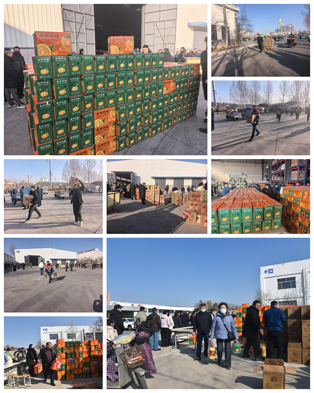 猫先生菠菜|mrcat体育|猫先生官网